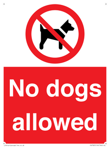 No dogs allowed